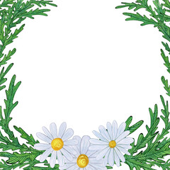 Green leafy frame with three white daisies at the base. Hand-drawn watercolor illustration, naive style, simple and soft. For greeting cards, botanical designs, invitations, and decorative elements