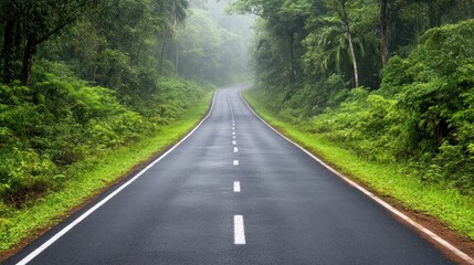 Fototapeta premium A winding asphalt road through a lush green forest, with fog in the distance.