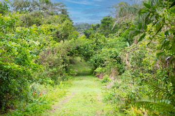 LITORAL DE SANTA CATARINA.