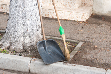 Broom and shovel leaning against tree after sweeping leaves