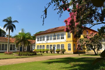 Fototapeta premium How do schools and educational institutions participate in World Portuguese Language Day