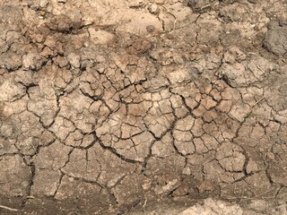 soil in dry season. Nature background