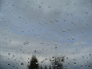 Rainy gray and blue sky, dark trees on horizon and raindrops on window glass during downpour day. Topics: weather, spring, summer, natural environment, season, nature, meteorology