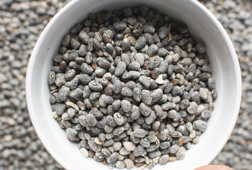 overhead view of blue speckled beans in a white bowl, top view of nigerian army beans, speckled heirloom beans in a ceramic bowl