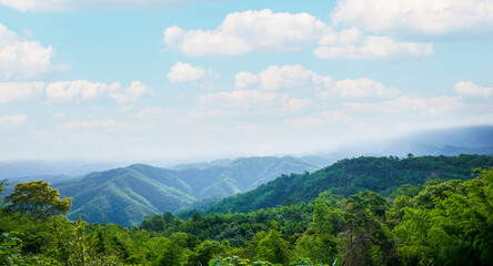 Mountain view with trees in green forest, white clouds and blue sky background.