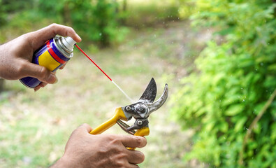Man hands use lubricating oil spray to an old steel pruning shear prepare before pruning plants or garden tool maintenance concept.