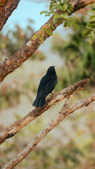 Caminhada Trekking Travessia Natureza Rio Preto Chapada dos Veadeiros Cerrado Paisagem Rios Seca Goiás Centro-Oeste Brasil Ecoturismo Reserva Natural Aventura Trilha Savana Conservação Flora Turismo