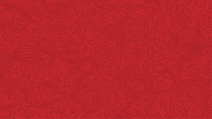 Topographic map background.