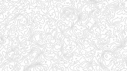 Topographic map background.