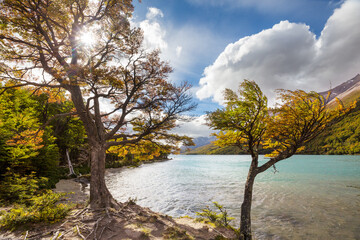 Autumn in Patagonia