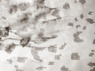 Fototapeta premium Animal Print Tiger. Black Tiger Tropical Pattern.