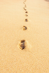 Footprints on the beautiful ocean sand. Set of pictures showing ocean waves in different stages over footprints. Cabo San Lucas. Mexico.