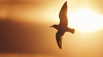 Naklejka premium Bird in Flight Against a Vibrant Sunset Sky, Symbolizing Freedom and Nature Generative AI