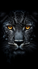 Obraz premium leopard is beautiful, clear image, phone wallpaper, background, snapshot