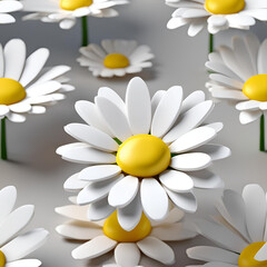 Beautiful single daisy blossom on white background