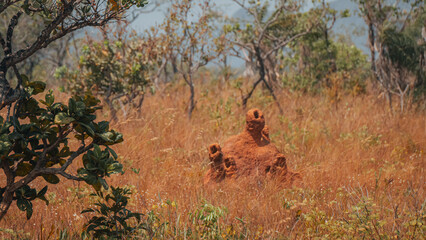 Chapada Veadeiros Cerrado Paisagem Rios Seca Goi&aacute;s Brasil Ecoturismo Natureza Trilha Montanhas Conserva&ccedil;&atilde;o Aventura Caminhada Vida Selvagem Flora Fauna Vegeta&ccedil;&atilde;o Rochas Cachoeiras Turismo Trekking