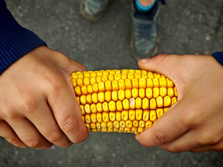 organic,vegan or vegetable in the food trade