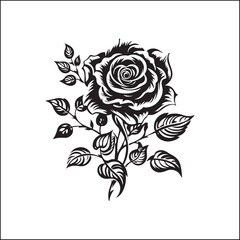 black and white roses,flower, floral, rose, vector, vintage, pattern, illustration, leaf, design, nature, decoration, flowers, plant, drawing, art, ornament, seamless, sketch, wedding, element, roses,