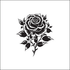 Obraz premium rose, flower, vector, floral, pattern, design, illustration, decoration, vintage, nature, love, art, leaf, card, ornament, pink, plant, seamless, tattoo, roses, spring, drawing, petal, blossom, valent