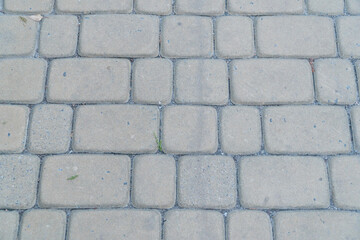 Textured Cobblestone Pathway with Subtle Natural Elements