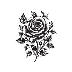 rose, flower, vector, floral, pattern, design, illustration, decoration, vintage, nature, love, art, leaf, card, ornament, pink, plant, seamless, tattoo, roses, spring, drawing, petal, blossom, valent