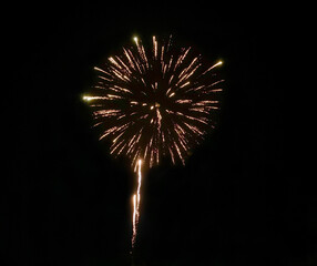 Bright firework in the night sky on the 4th of July