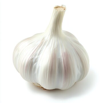 A fresh garlic bulb rests elegantly on a white background, showcasing its unique layers and natural shine, perfect for culinary uses