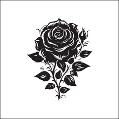 rose, flower, vector, floral, pattern, design, illustration, decoration, vintage, nature, love, art, leaf, card, ornament, pink, plant, seamless, tattoo, roses, spring, drawing, petal, blossom, valent