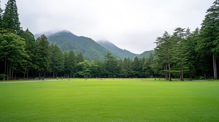 A group of deer grazes peacefully in a green meadow, enveloped in fog, set against a backdrop of majestic pine trees and distant hills