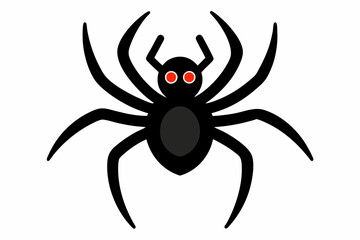 spider isolated on white