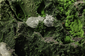 Close-up view of vibrant green mineral clusters with embedded clear crystals, showcasing intricate textures and natural formations.