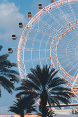 Ferris Wheel and Palm Trees in Florida © Destiny