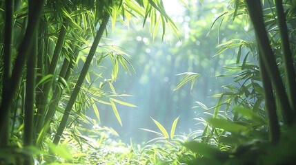   Sunlight filters through bamboo foliage in a lush green forest featuring towering bamboo trees in the backdrop