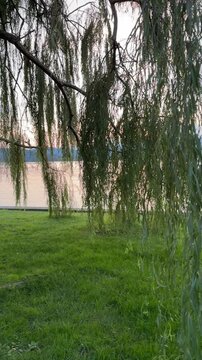Beautiful view of the lake and the Alps in the small town of Ispra, Italy. Autumn in Italy 