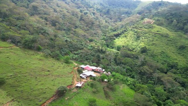 Finca Cafetera Colombia- Pueblo Bello Cesar 