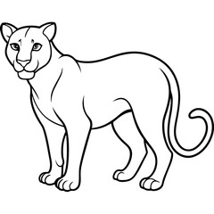 lion illustration