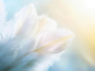 Naklejka premium a peaceful close-up view featuring white feathers softly arranged against a calming background, symbolizing spirituality and hope, evoking a sense of calm and divine presence