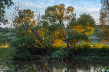 autumn trees reflected in water