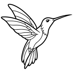 hummingbird and flower © Aminul