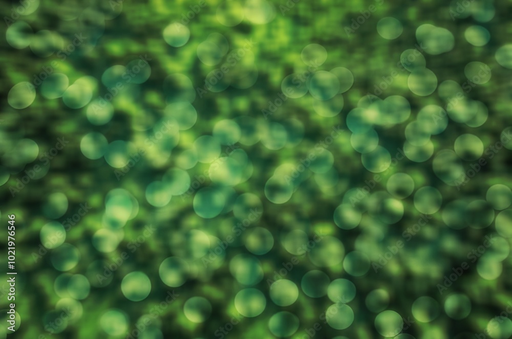 Canvas Prints Abstract blurred green nature background with bokeh