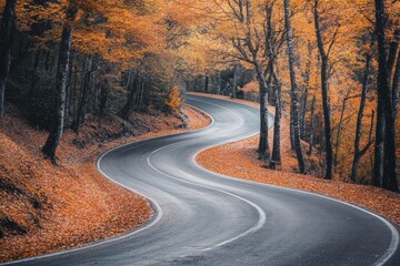 Fototapeta premium A winding road through an autumn forest, with leaves in shades of orange and yellow covering the ground Generative AI