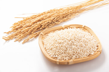 米麹　生麹（こうじ）