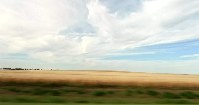 Driving plate side view on a highway through open plains and farmland in Midwestern United States agricultural fields under a wide sky rural travel and American heartland concept