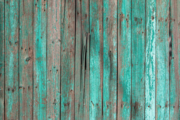 A weathered wooden vertical board fence with peeling turquoise paint, closeup, background
