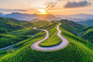 Beautiful road through the green tea plantation in the mountains
