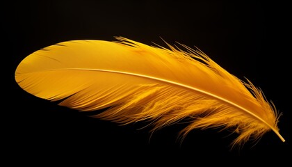 yellow feather
