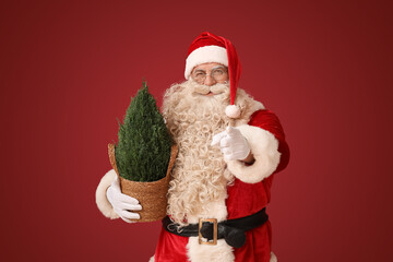 Santa Claus with Cypress tree pointing at viewer on red background