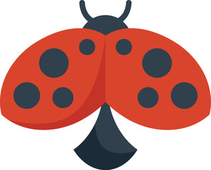 Red ladybug with black dots is flying with its wings wide open