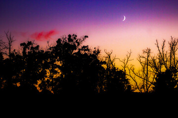 Obraz premium colorful sunset with crescent moon silhouette landscape