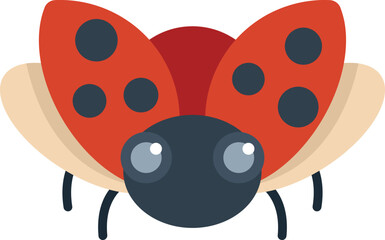 Cute red ladybug with black dots is opening its wings and taking off